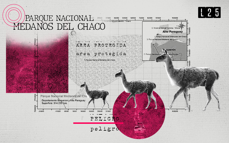 Reserva de M danos del Chaco podr a estar en riesgo y te contamos